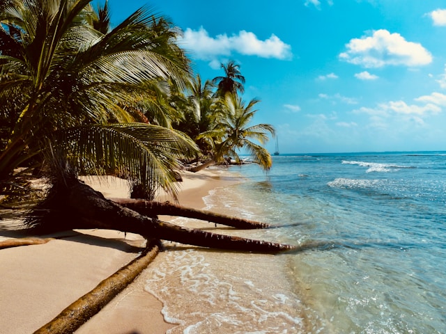 panama digital nomad visa documents