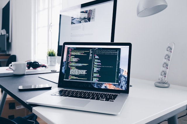 digital domain professions - who can apply for the malaysia digital nomad visa