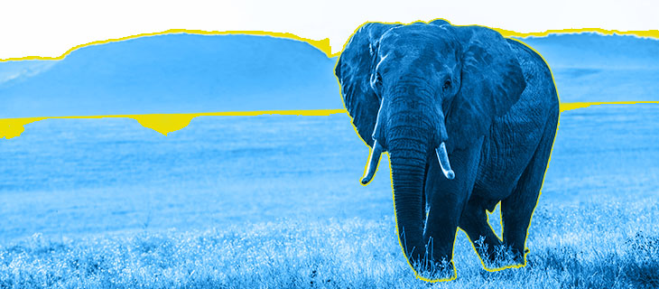 kenya digital nomad visa